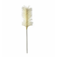 Soft Feather Stem Ivory (5pk)