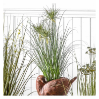 Grass With 3 Flowers