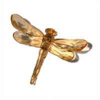Orange Dragonfly With Spike