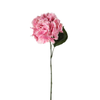 Pink Hydrangea Stem Pink 6pk Large