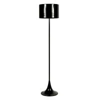 Modern Black Floor Lamp