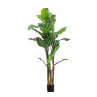 Green Banana Palm Large
