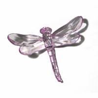 Lilac Dragonfly With Spike