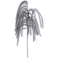 Grey Pampas Grass Spray Stem