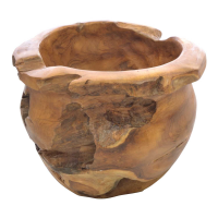 Tree Root Teak Root Pot