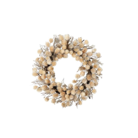 Dried Thistle Wreath Natural