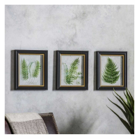 Framed Art Trio