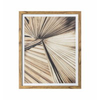 Framed Art