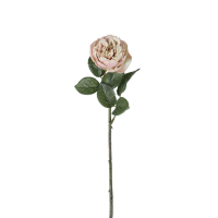 Light Pink Rose Stem Light Pink 12pk Small