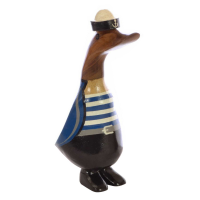 Small Sailor Duck