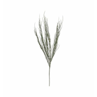 Grass Spray Dry Look (3pk)