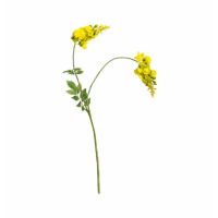 Spray Yellow (3pk)