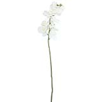 Value White Real Touch Orchid