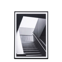 Photographic Framed Art