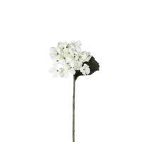 White Hydrangea Stem White 12pk Small