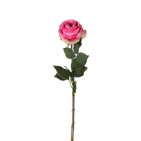 Pink Rose Stem Pink 6pk Large