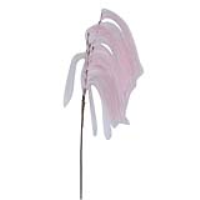 Pink Pampas Grass Spray Stem