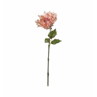 Stem Pink (3pk)