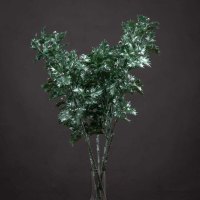 Festive Holly Spray With Berries