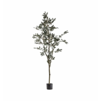 Tree Large