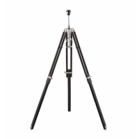 Floor Lamp Dark Mango Wood