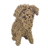 Small Seagrass Dog