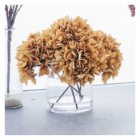 Hydrangea With Glass Vase
