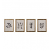 Studies Framed Art Set of 4