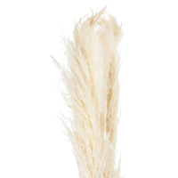 Modern Cream Artificial Pampas Grass Stem Home Decor Article 100x15cm