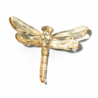 Honey Dragonfly With Spike