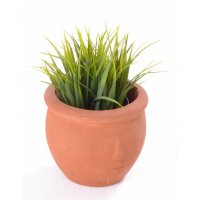 Small Face Pot