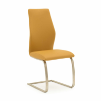 Irma Modern Pumpkin Orange Faux Leather Dining Chair Brushed Steel Cantilever Legs
