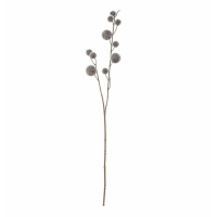 Spray (6pk) Pale Grey