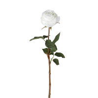 White Rose Stem White 12pk Small