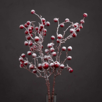Large Red Festive Berry