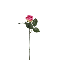 Pink Rose Stem Pink 12pk Medium