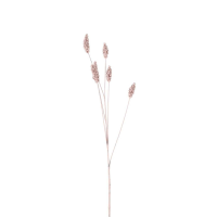 Wheat Spray 6pk
