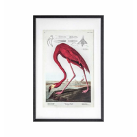 Flamingo Framed Art