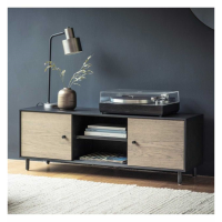 Modern Wood and Metal 2 Shelves 2 Doors Lightwood TV Media Unit 42x120cm