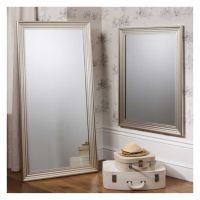 Silver Mirror