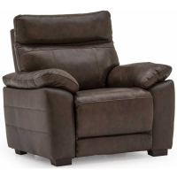 Positano Modern Leather and Leather Match Brown Single Seater Fixed Sofa 98x101cm