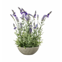 Lavender Bowl Small