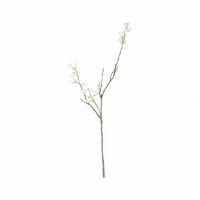 Spray White (3pk)
