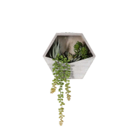 Planter with Agave Succulent mix