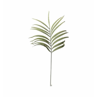 Leaf Stem Dry Look (3pk)