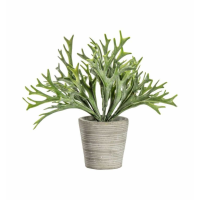 Grass With Cement Pot
