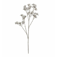 Stem (3pk) White Brown
