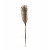 Soft Feather Stem Brown (5pk)
