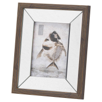 Titan Mirror And Wood 5X7 Frame