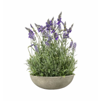 Lavender Bowl Large